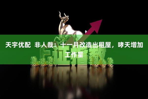 天宇优配  非人哉：十一月改造出租屋，哮天增加工作量