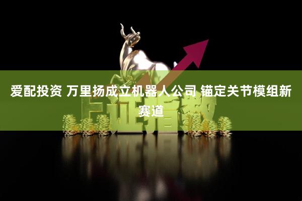 爱配投资 万里扬成立机器人公司 锚定关节模组新赛道