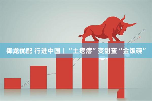 御龙优配 行进中国丨“土疙瘩”变甜蜜“金饭碗”
