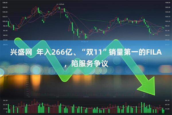 兴盛网  年入266亿、“双11”销量第一的FILA，陷服务争议