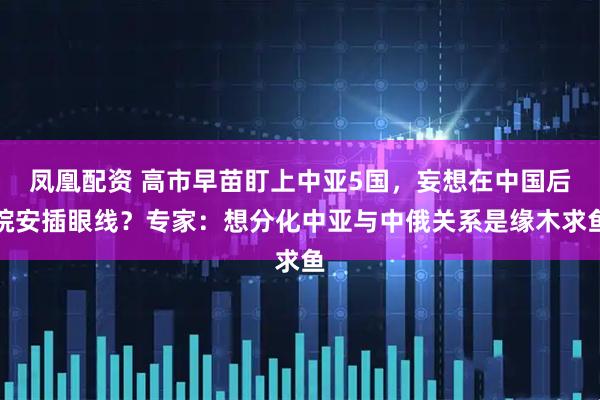 凤凰配资 高市早苗盯上中亚5国，妄想在中国后院安插眼线？专家：想分化中亚与中俄关系是缘木求鱼