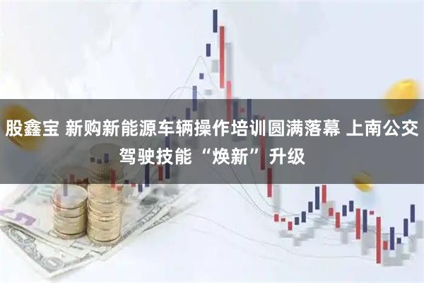 股鑫宝 新购新能源车辆操作培训圆满落幕 上南公交驾驶技能 “焕新” 升级